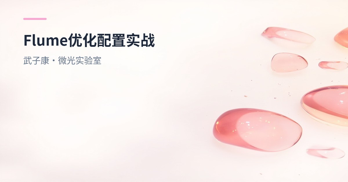 大数据-226 离线数仓 Flume 优化配置实战：batchSize/Channel/压缩/自定义拦截器与 OOM 处理