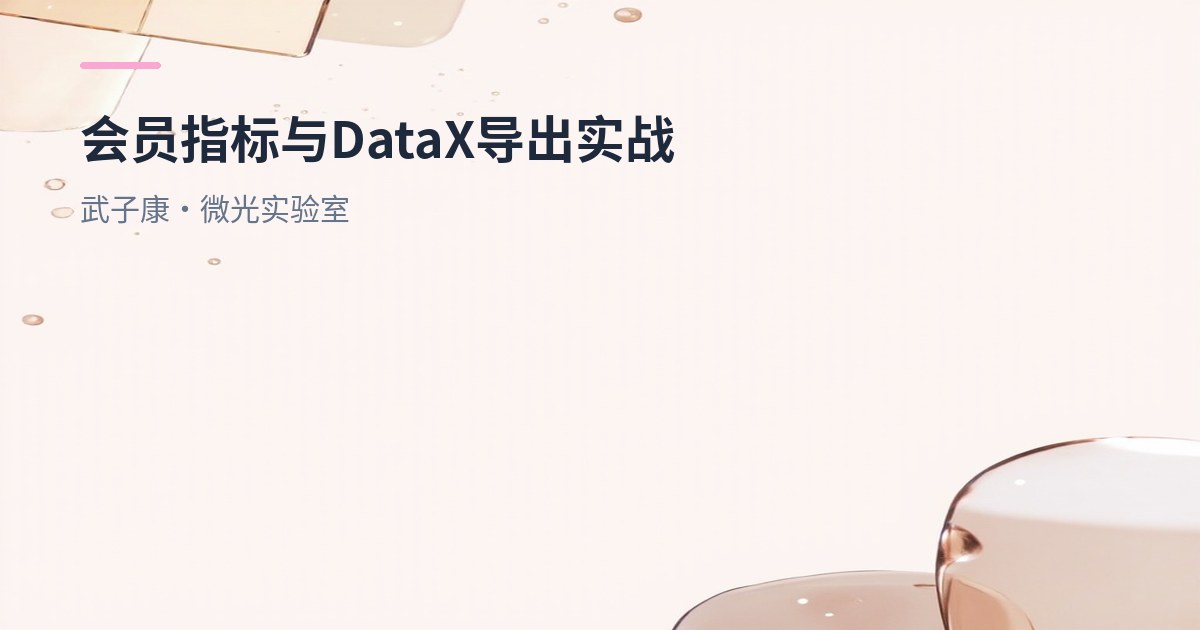 大数据-236 离线数仓 会员指标验证、DataX 导出与广告业务 ODS/DWD/ADS 全流程