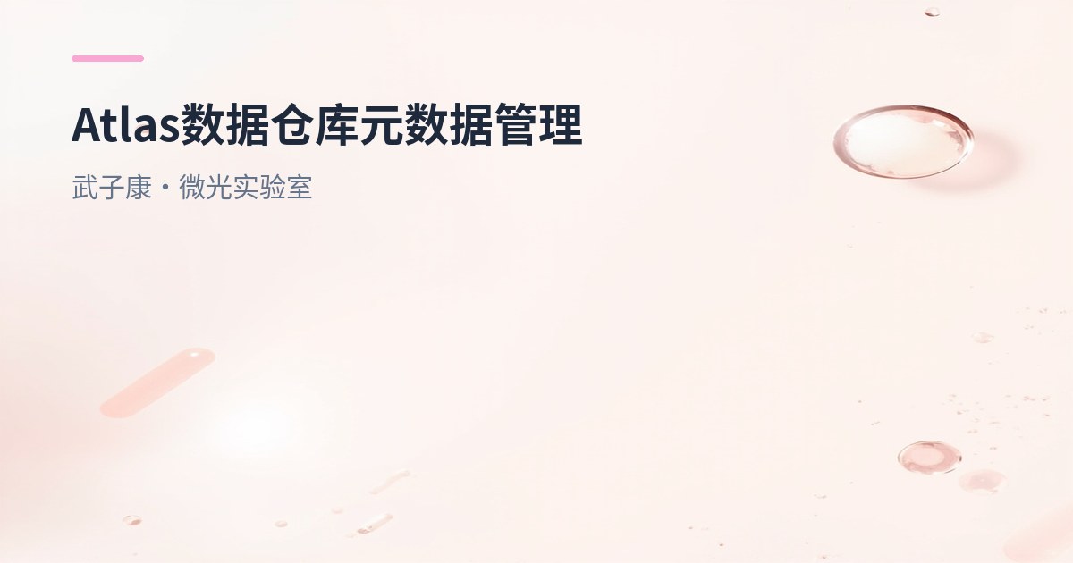 大数据-255 离线数仓 - Atlas 数据仓库元数据管理 数据血缘关系 元数据